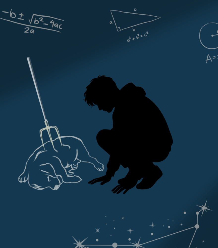 The Curious Incident of the Dog in the Night-Time